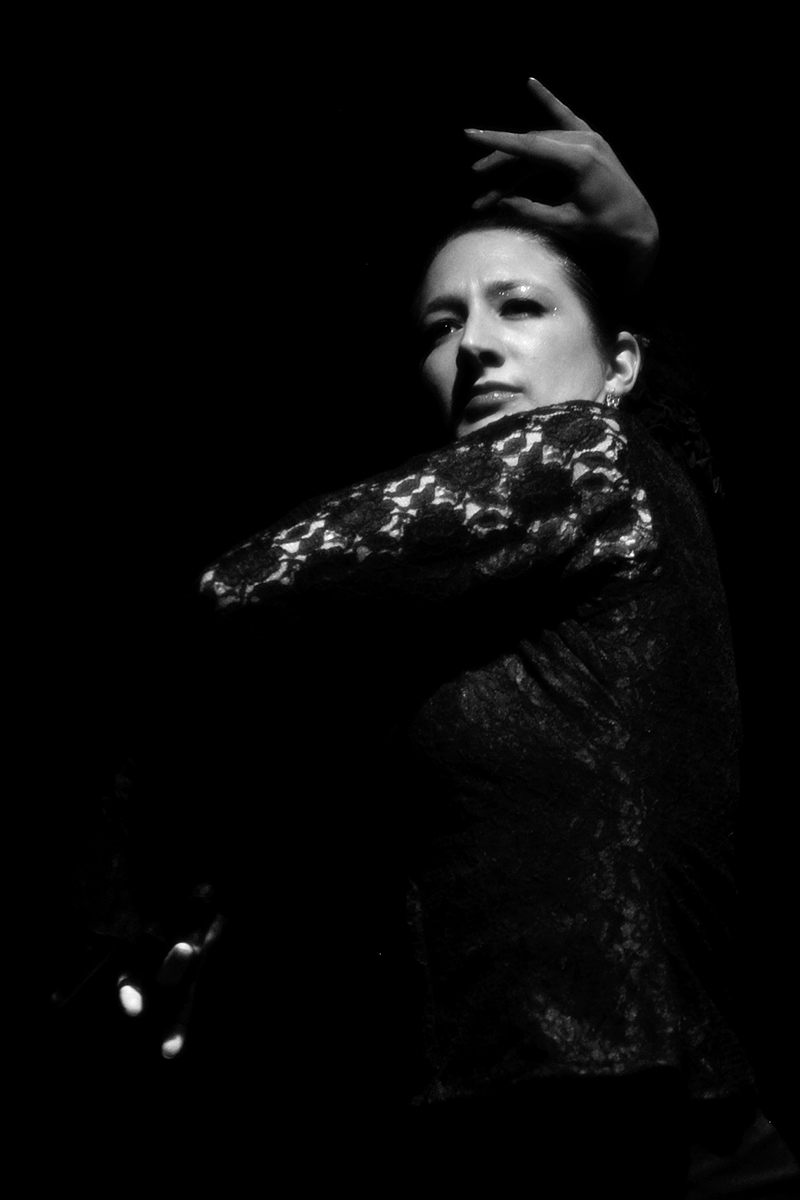 Mozaico-Flamenco-Andrea-2010