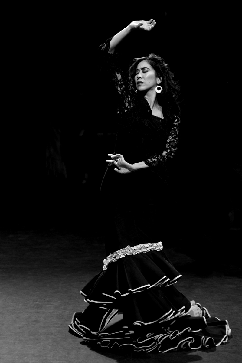Mozaico-Flamenco-Cyrena-2008