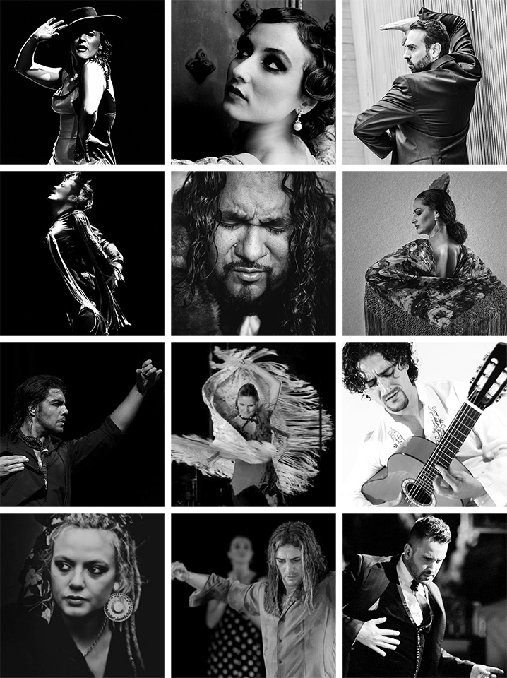Mozaico-Flamenco-Guest-Artist-Workshops