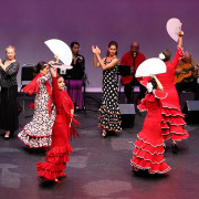Mozaico-Flamenco-Vancouver-Abanico