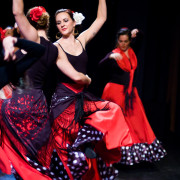 Mozaico Flamenco - Fiesta De Invierno 2007 - Ashley