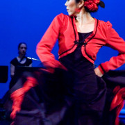 Mozaico Flamenco - 2007 - Cyrena