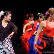 Mozaico Flamenco - Fiesta De Invierno 2007 - Gina