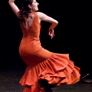 Mozaico Flamenco - Fiesta De Invierno 2007 - Michelle