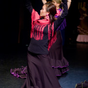 Mozaico Flamenco - Fiesta De Invierno 2007 - Priscilla