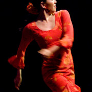Mozaico Flamenco - Fiesta De Invierno 2007 - Shyiang