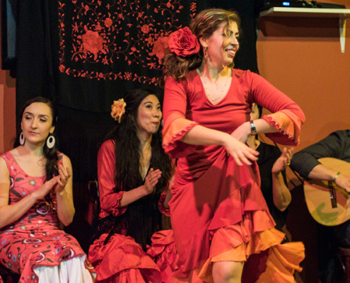 Mozaico-Flamenco-Vancouver-Community-Kino