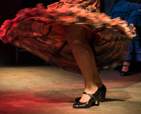 Mozaico Flamenco Vancouver Classes