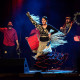 Mozaico-Flamenco-Bon-Voyage-Michelle