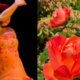 Kasandra-Rose-Orange-Sacral-Chakra