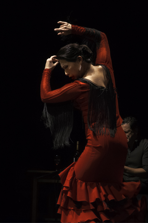 Mozaico-Flamenco-Kasandra-Instructor