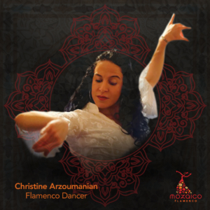 Mozaico-Flamenco-Salon-Series-Christine-Arzoumanian