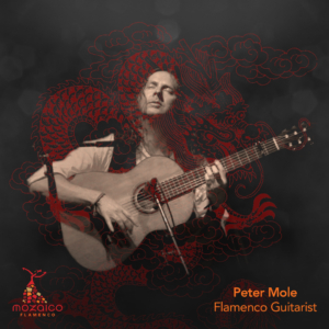 Mozaico-Flamenco-Dim-Sum-Peter-Mole
