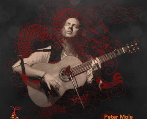 Mozaico-Flamenco-Dim-Sum-Peter-Mole