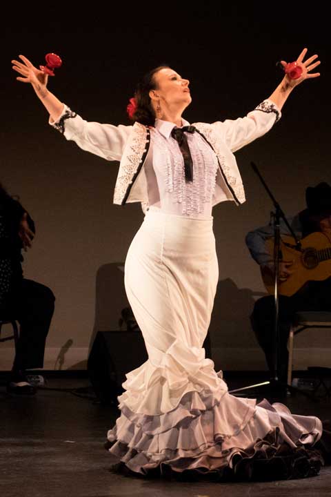 Cynthia-Shippam-Brett-Flamenco-Dancer-Mzoaico-Flamenco-Cuadro