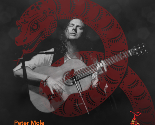 Mozaico-Flamenco-Year-of-the-Snake-Peter