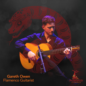 Mozaico-Flamenco-Year-of-the-Snake-Gareth