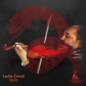 Mozaico-Flamenco-Year-of-the-Snake-Lache